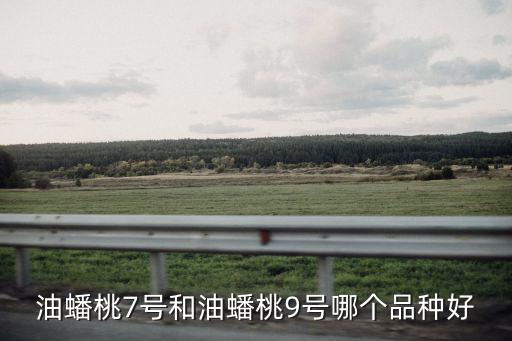 德州優質油蟠桃7號多少錢,7油蟠桃一畝地種多少顆合適