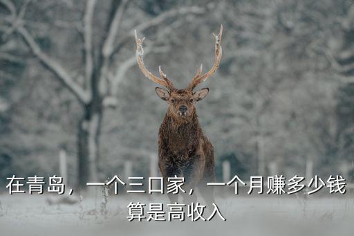 在青島，一個三口家，一個月賺多少錢算是高收入