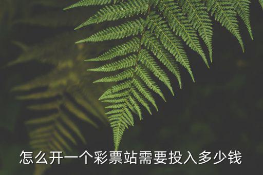 怎么開一個彩票站需要投入多少錢