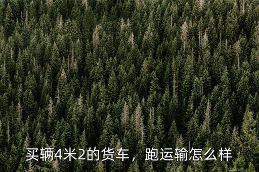 廣州4米2送貨怎么樣,買輛4米2的貨車