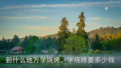 紹興學燒烤要多少學費,到什么地方學燒烤