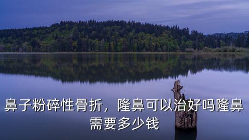 鼻子粉碎性骨折，隆鼻可以治好嗎隆鼻需要多少錢