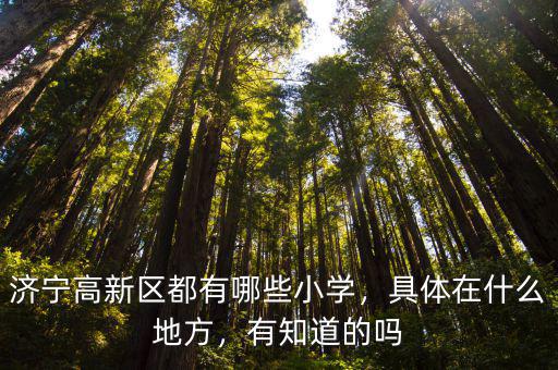 濟(jì)寧高新區(qū)都有哪些小學(xué)，具體在什么地方，有知道的嗎