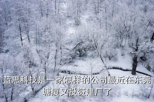 藍(lán)思科技東莞有限公司工資怎么樣啊,藍(lán)思科技是一家怎樣的公司