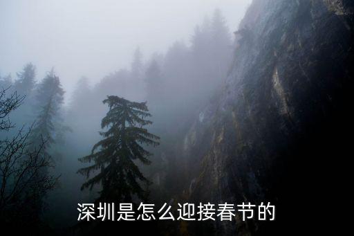 深圳是怎么迎接春節(jié)的