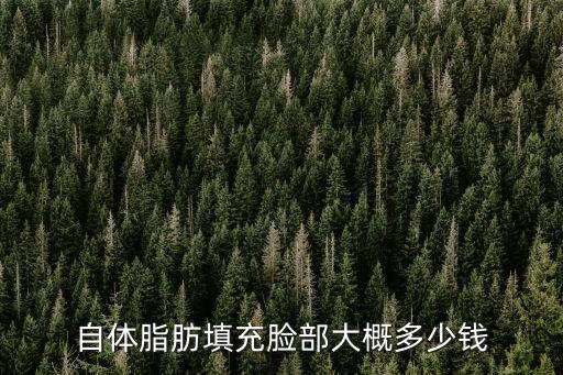 自體脂肪填充臉部大概多少錢