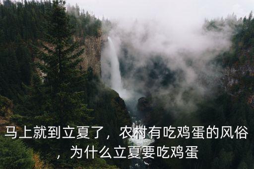 立夏吃雞蛋是廣東哪里的風俗,農村有吃雞蛋的風俗