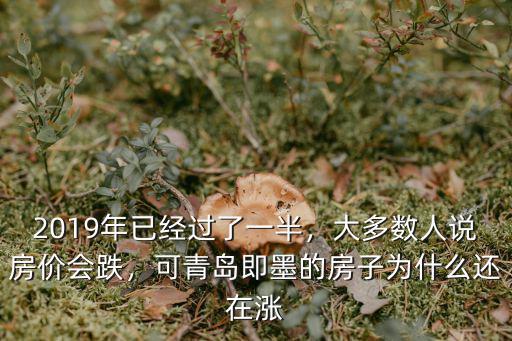 2019年已經過了一半，大多數人說房價會跌，可青島即墨的房子為什么還在漲