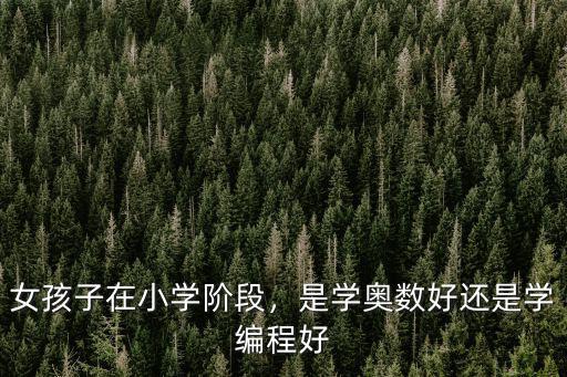 女孩子在小學(xué)階段，是學(xué)奧數(shù)好還是學(xué)編程好