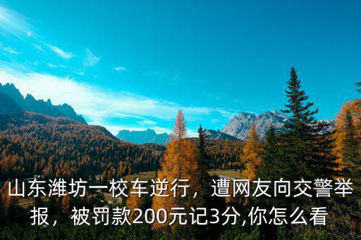 山東濰坊一校車逆行，遭網友向交警舉報，被罰款200元記3分,你怎么看