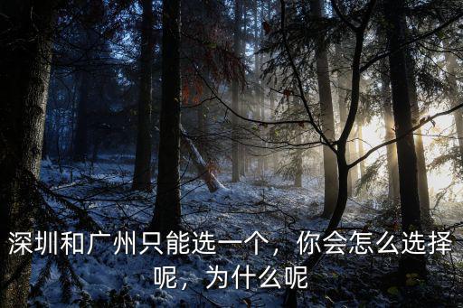 深圳光軸怎么選,深圳和廣州只能選一個(gè)