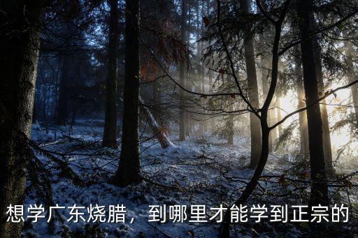 想學(xué)廣東燒臘，到哪里才能學(xué)到正宗的