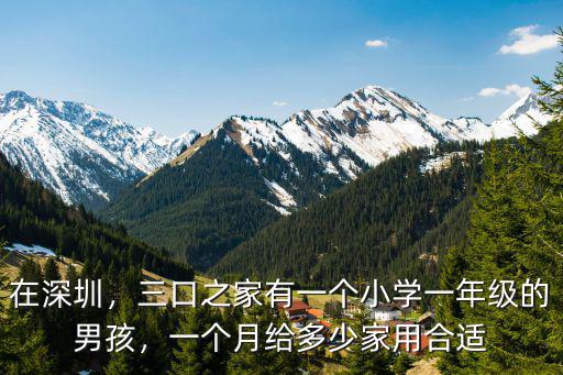 在深圳上小學(xué)一年級要多少錢,在深圳上民辦小學(xué)