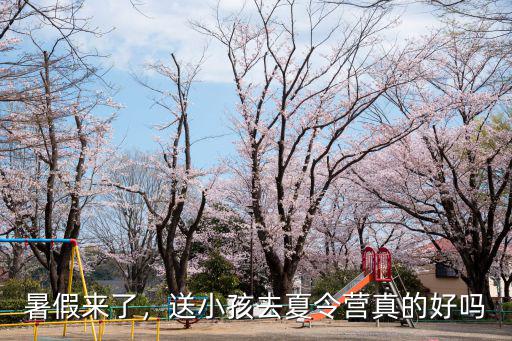 暑假來了，送小孩去夏令營真的好嗎