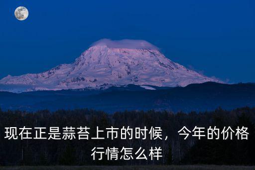 山東的蒜苔多少錢1斤,現(xiàn)在正是蒜苔上市的時候