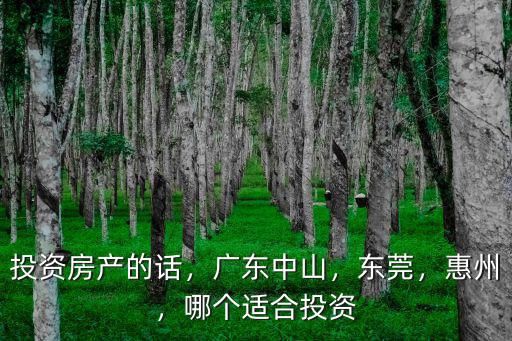 東莞惠州哪里適合投資,投資房產(chǎn)的話