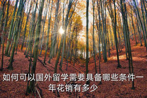 如何可以國外留學(xué)需要具備哪些條件一年花銷有多少
