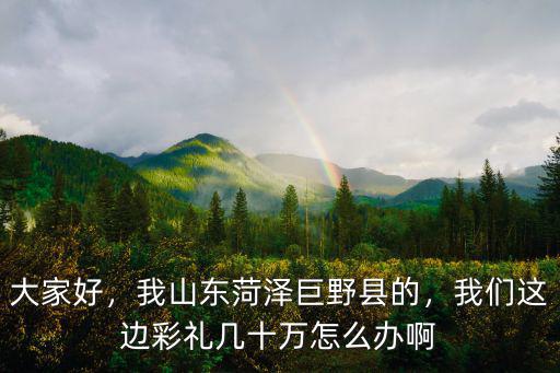 大家好，我山東菏澤巨野縣的，我們這邊彩禮幾十萬怎么辦啊