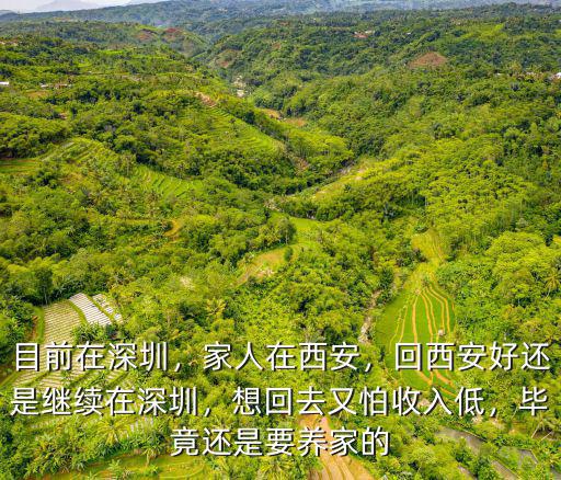 目前在深圳，家人在西安，回西安好還是繼續在深圳，想回去又怕收入低，畢竟還是要養家的
