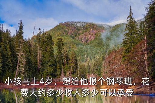 小孩馬上4歲，想給他報(bào)個(gè)鋼琴班，花費(fèi)大約多少收入多少可以承受