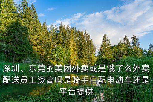深圳、東莞的美團外賣或是餓了么外賣配送員工資高嗎是騎手自配電動車還是平臺提供