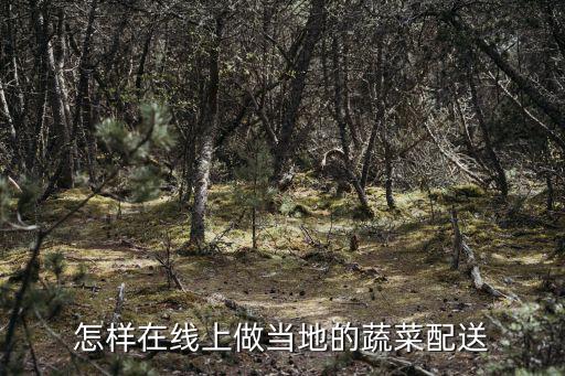 廣東同城食材配送怎么做,同城水果配送怎么做