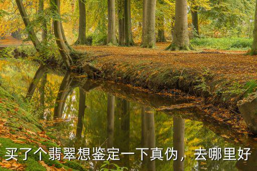深圳寶安鑒定藥真假去哪里鑒定,買了個翡翠想鑒定一下真偽