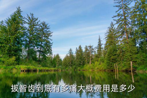 拔智齒到底有多痛大概費用是多少