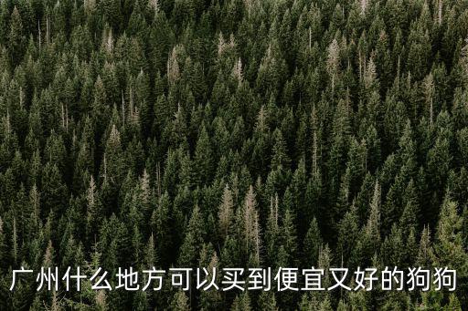 廣州哪里有過(guò)布樸的,廣州有哪些城中村