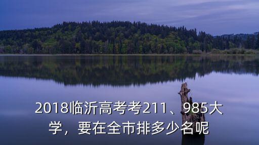 臨沂一年能考多少985211,2018臨沂高考考211