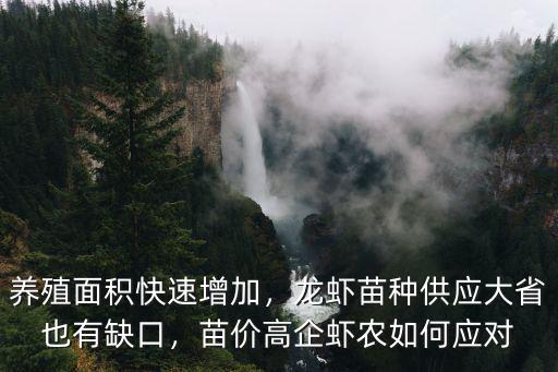 養殖面積快速增加，龍蝦苗種供應大省也有缺口，苗價高企蝦農如何應對