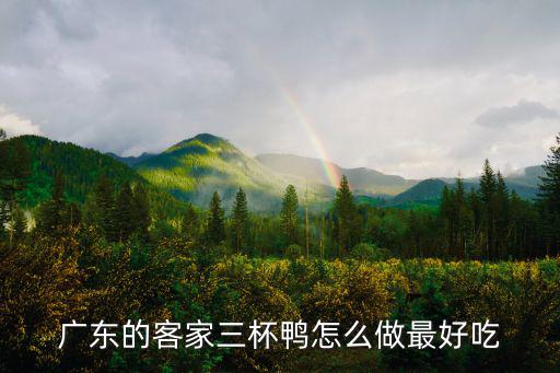 廣東的客家三杯鴨怎么做最好吃