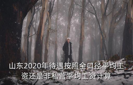 山東2020年待遇按照全口徑平均工資還是非私營平均工資計算