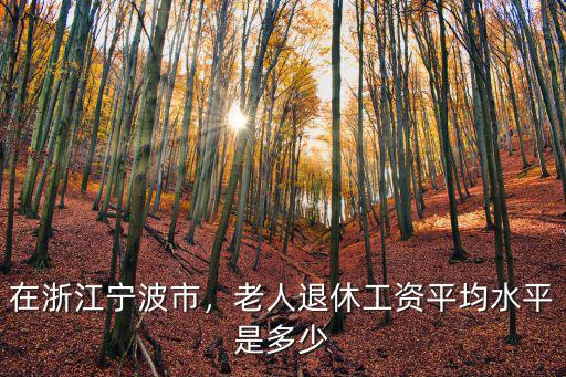在浙江寧波市，老人退休工資平均水平是多少