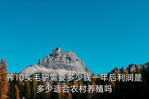 養10頭毛驢需要多少錢一年后利潤是多少適合農村養殖嗎