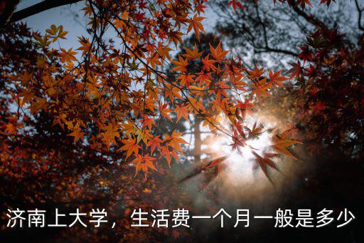 在濟南上大學生活費需多少,我女兒在濰坊上大學