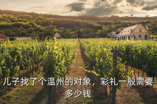 娶溫州市區(qū)女孩需要多少錢,娶個宿遷女孩需要花多少錢