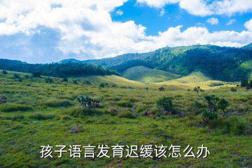 舟山兒童語言發(fā)育遲緩多少錢,孩子語言發(fā)育遲緩該怎么辦
