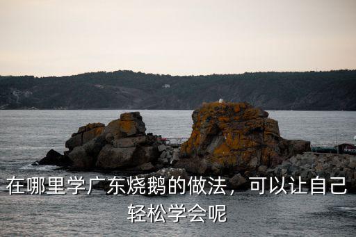 廣東湛江哪里有賣燒鵝的,在哪里學(xué)廣東燒鵝的做法