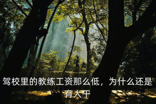 駕校里的教練工資那么低，為什么還是有人干