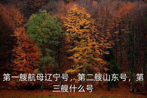 第一艘航母遼寧號，第二艘山東號，第三艘什么號