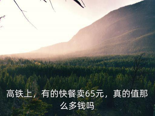 廣州高鐵上的快餐多少錢一個(gè)月,有的快餐賣65元
