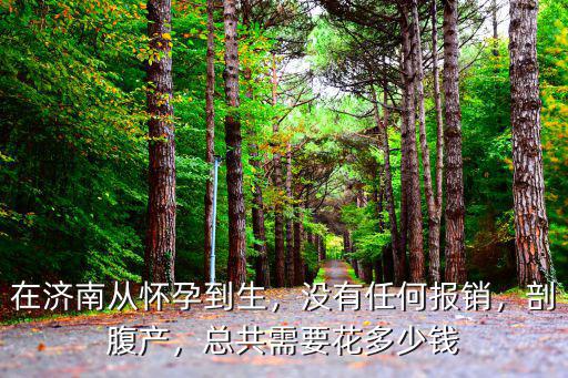 在濟(jì)南從懷孕到生，沒有任何報銷，剖腹產(chǎn)，總共需要花多少錢