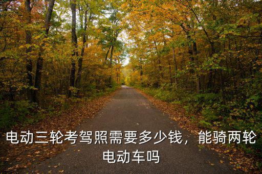 電動三輪考駕照需要多少錢，能騎兩輪電動車嗎