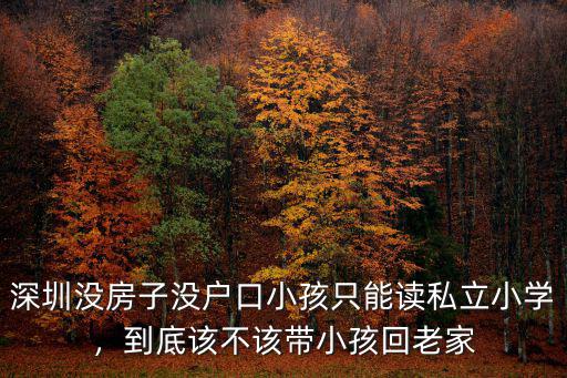 深圳沒房子沒戶口小孩只能讀私立小學(xué)，到底該不該帶小孩回老家