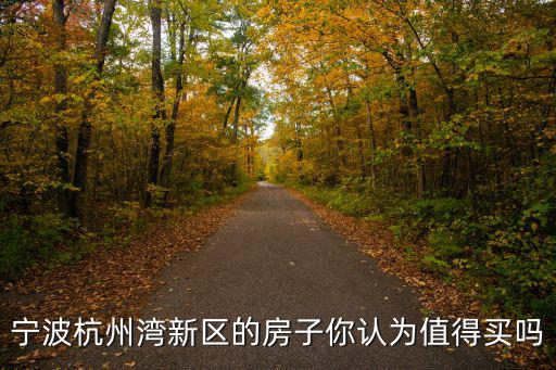 寧波杭州灣新區(qū)的房子你認(rèn)為值得買嗎