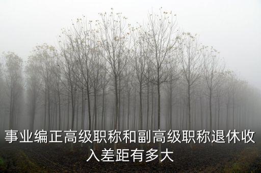 事業編正高級職稱和副高級職稱退休收入差距有多大