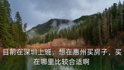 目前在深圳上班，想在惠州買房子，買在哪里比較合適啊