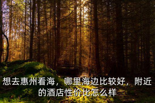想去惠州看海，哪里海邊比較好，附近的酒店性價比怎么樣