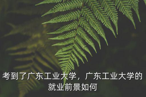 廣東的就業(yè)怎么樣呢,廣東工業(yè)大學的就業(yè)前景如何